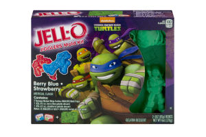 Jell-O Jigglers Mold Kit Nickelodeon Teenage Mutant Ninja Turtles Berry Blue Strawberry
