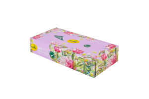 Салфетки косметические 2-х слойные 200х205мм Ecolo 100шт