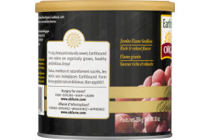 Earthbound Farm Organic Raisins