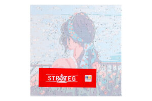 Набор для росписи по номерам 20х20см Strateg 1шт в ассорт