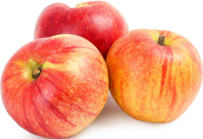 Яблуко Чемпіон вагове