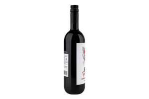Вино La Bonne Journee Cabernet Sauvignon IGP Atlantique червоне сухе 0.75 л