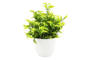 Рослини штучні зелені у горщику 18*12см в асортименті