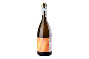 Вино ігристе 0.75л 10.5% біле брют Prosecco Frizzante Terre dei Buth пл