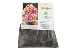 Кореневище Флокс Sherbet Blend Яскрава