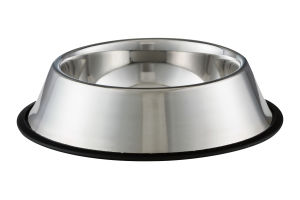 Companion Stainless Steel Bowl