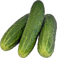 Огірок ваговий