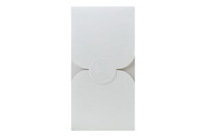 Система электрического нагревания табака Vivid Terracotta Kit - Permanent Iluma i IQOS 1шт