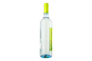 Вино 0.75л 8.5% белое полусухое виноградное натуральное DOC Vinho Verde Gazela бут