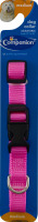 Companion Dog Collar Adjustable Medium