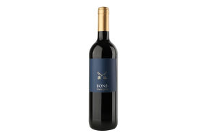 Вино 0.75л 12% красное сухое Tinto Seco Bons бут
