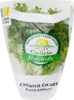 Салат свежий Фризе Galicia Greenery м/у 1шт