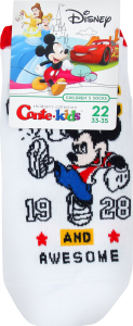 Носки дет Conte-kids Disney 17С171 белый р22 370