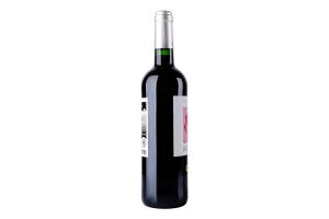 Вино Chаteau Puy d'Amour ч.сухе13%0,75л