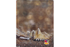 Ahold Facial Tissues Soft & Gentle 3 - ply