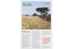 Kashi Tomato Lentil Berbere Teff Thins Snack Crackers