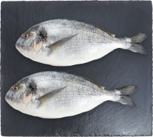 Дорада 800-1000 охлажденная