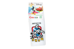 Носки дет Conte-kids Disney 17С170 белый р22 369