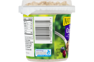 Nature Valley Protein Oatmeal Mixed Berry Crunch