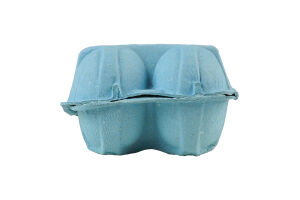 Яйца куриные С1 Шаничі к/у 10шт