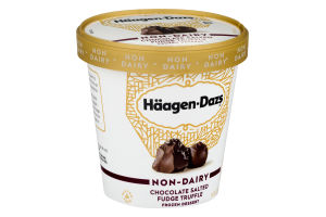 Haagen-Dazs Non-Dairy Frozen Dessert Chocolate Salted Fudge Truffle