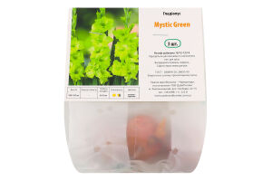 Цибулина Гладіолус Містік Грін 3шт Яскрава