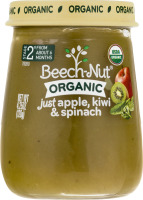 Beech-Nut ORGANIC Stage 2 Just Apple, Kiwi & Spinach