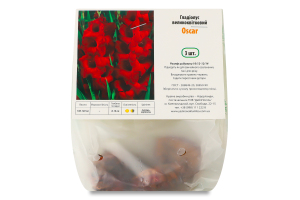 Цибулина Гладіолус Оскар 3шт Яскрава