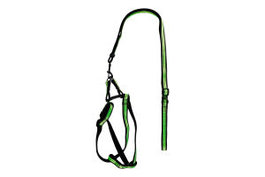 Набір д/собак повідець 120х2см +шлейка світл елем