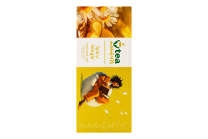 Чай трав'яний Spicy Ginger 22*1,5г Tea Moments