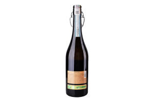 Вино игристое 750мл 11% белое экстрасухое Prosecco Nave de Oro бут