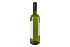 Вино 0.75л 11% біле сухе Bon Plaisir пл