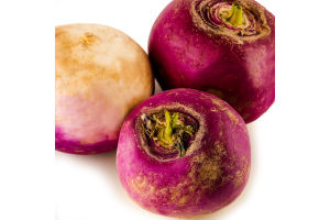 Редис фіолетовий