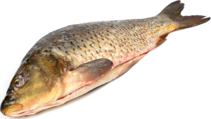 Карп потрошеный чищеный охлажденный ПР