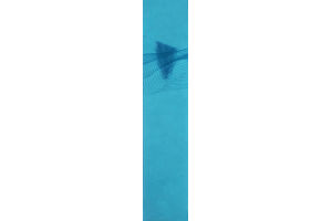 John Frieda Luxurious Volume Fine To Full Blow-Out Spray