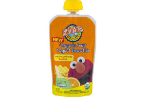 Earth's Best Organic Fruit Yogurt Smoothie Pineapple Orange Banana