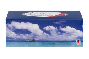 Ahold Facial Tissues Strong & Gentle 2-Ply White Unscented - 160 CT