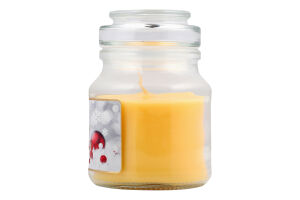 Свічка ароматична ТО205 Ананас-Апельсин скло Пако ІФ