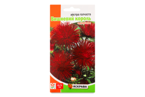 Насіння Квіти Айстра голчаста Вишневий король бордова 0,3г Яскрава