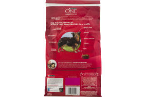 Purina One SmartBlend Small Bites Beef & Rice Formula Adult Premium Dog Food