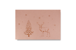 Серветка настільна прямокутна 45*30см 833823