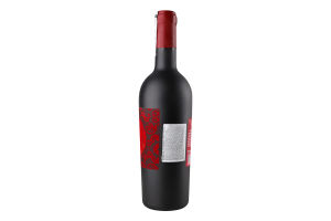 Вино Doppio Passo D.Mas.ч/нсух16%0,75л