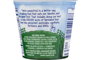 Stonyfield Organic O'Soy Yogurt Strawberry