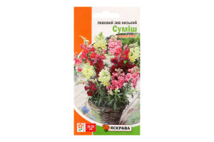 Насіння Квіти Левовий зев низький суміш 0,2г Яскрава