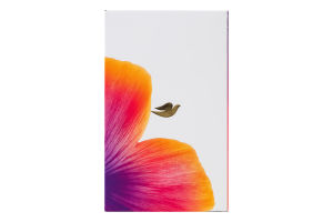 Набор Крем для рук Восстановление Ритуал красоты 75мл + Крем для рук Основной уход 75мл Уход и восстановление Dove 2шт