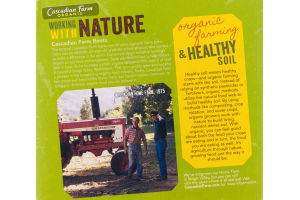 Cascadian Farm Organic Crunchy Granola Bars Peanut Butter - 10 CT