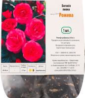 Бульба Бегонія повна рожева Яскрава