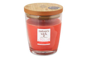 Свічка ароматична №1694665E Red berry/Nutmeg Nature's Wick 1шт