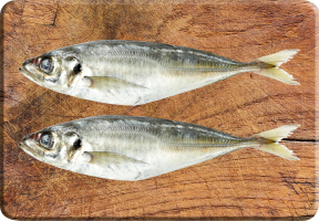 Ставрида охлажденная