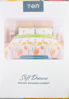 Комплект постільної білизни Софт Дрімс полуторний ТЕП